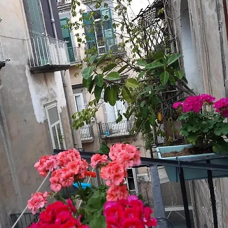 Casa vacanze Gelso *