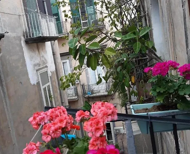 Hébergement de vacances Gelso *