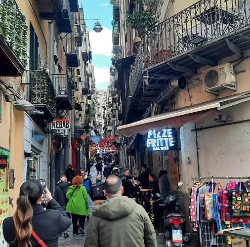 Gelso Hébergement de vacances