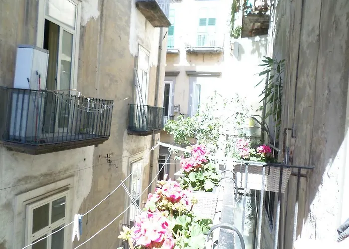 Gelso Hébergement de vacances Naples