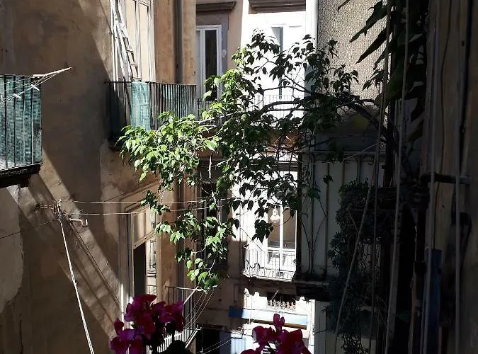 Hébergement de vacances Gelso Naples