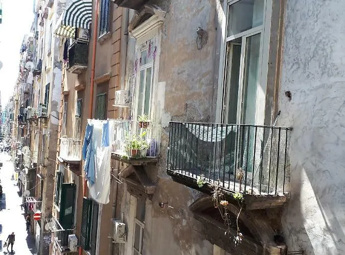 Gelso Hébergement de vacances